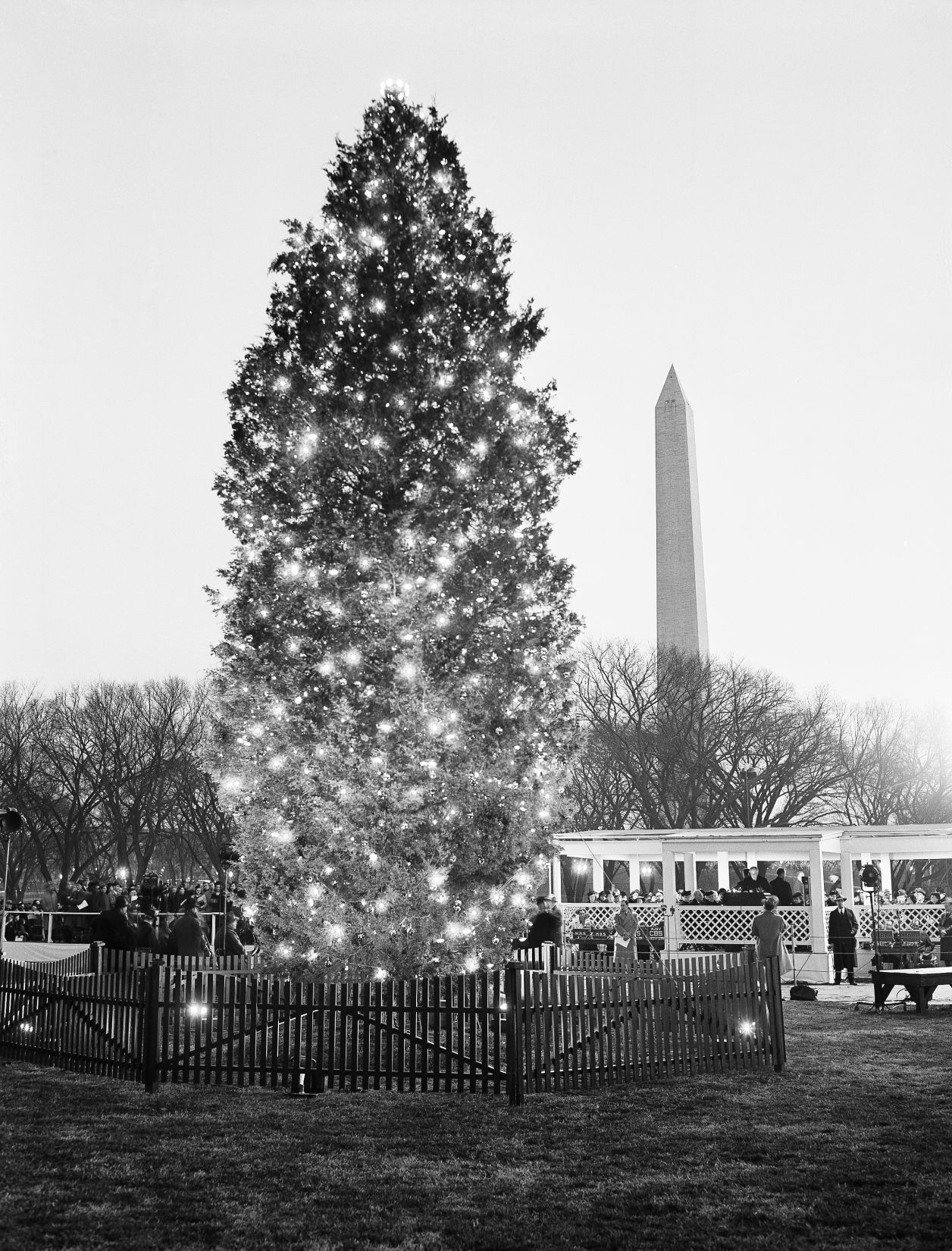 Christmas Trees White House 1940